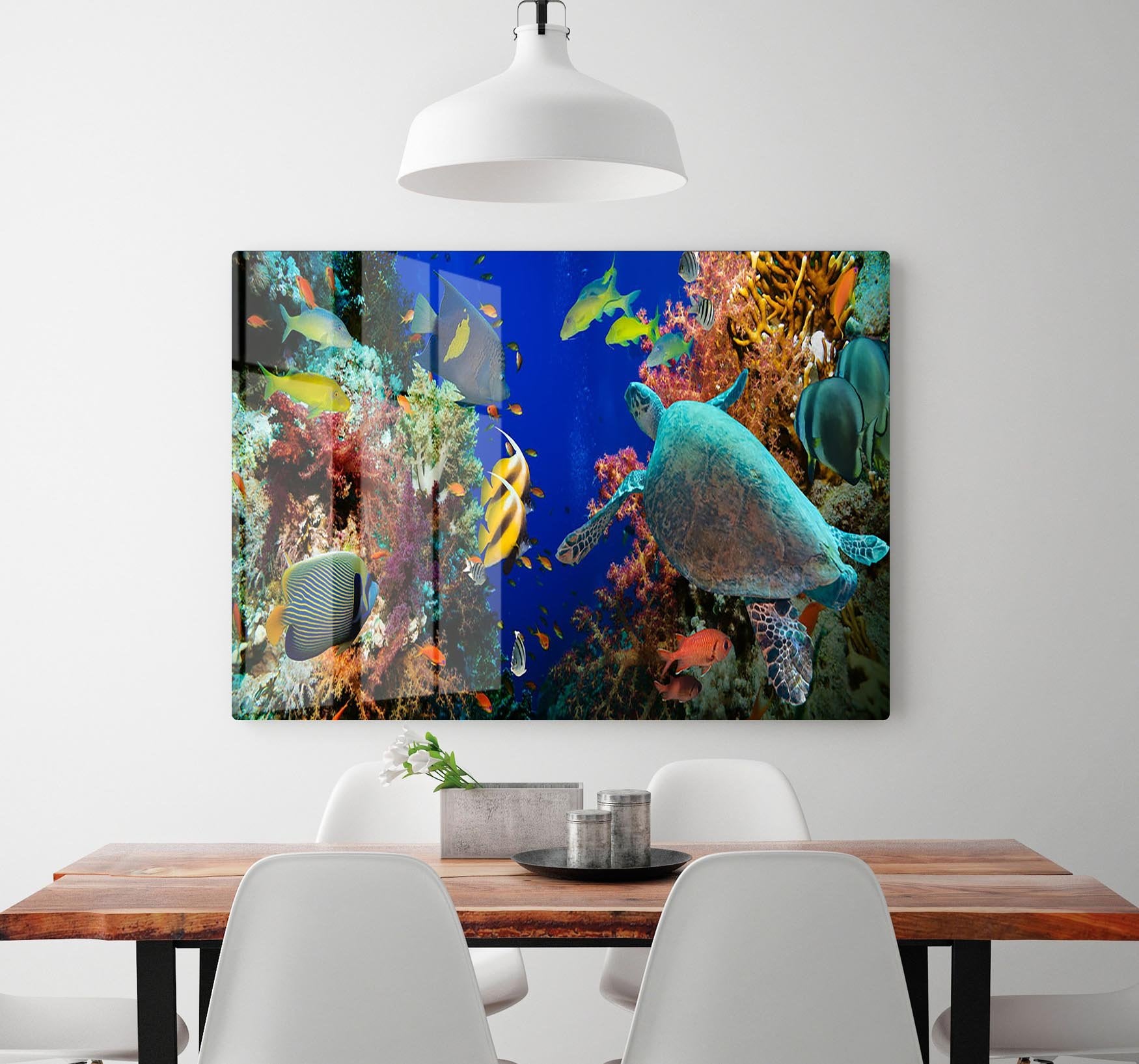 Tropical Anthias fish with net fire corals and shark on Red Sea reef HD Metal Print - Canvas Art Rocks - 2