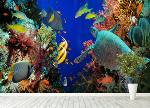 Tropical Anthias fish with net fire corals and shark on Red Sea reef Wall Mural Wallpaper - Canvas Art Rocks - 4