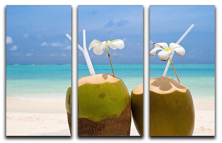 Tropical Coconut Cocktail 3 Split Panel Canvas Print - Canvas Art Rocks - 1