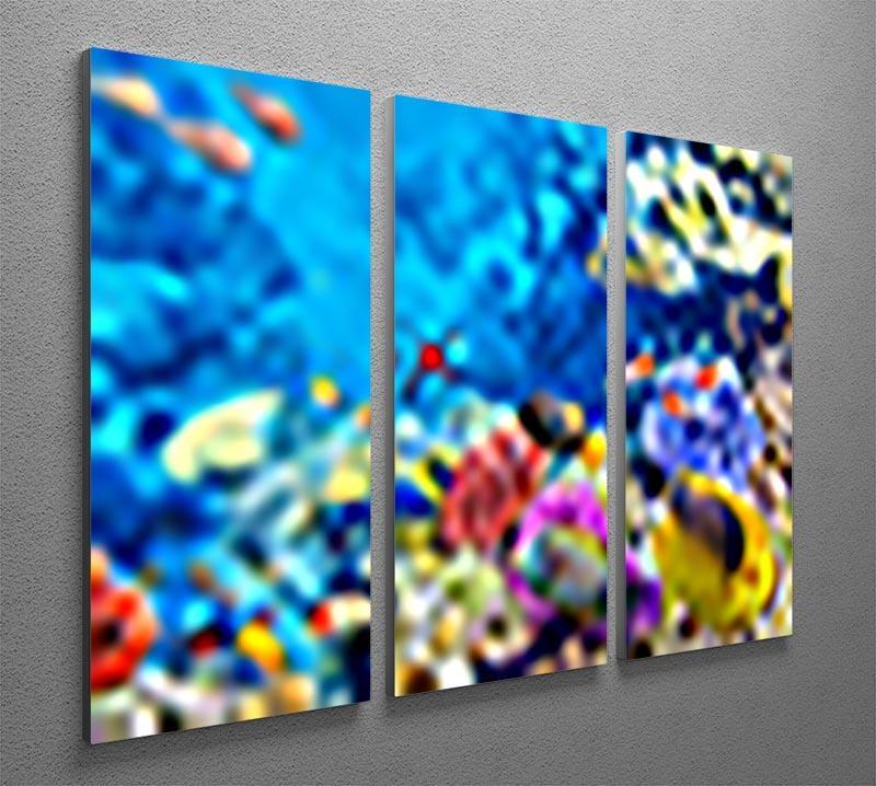 Tropical fish 3 Split Panel Canvas Print - Canvas Art Rocks - 2