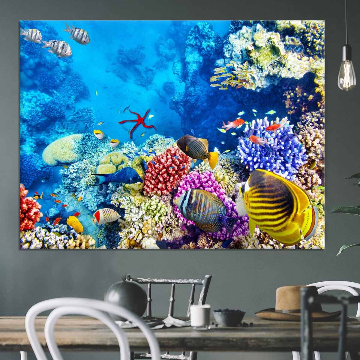 Tropical fish Canvas Print or Poster