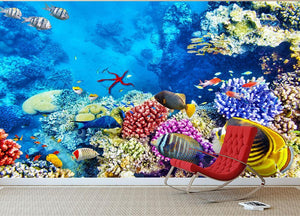 Tropical fish Wall Mural Wallpaper - Canvas Art Rocks - 3