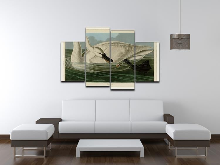 Trumpeter Swan by Audubon 4 Split Panel Canvas - Canvas Art Rocks - 3