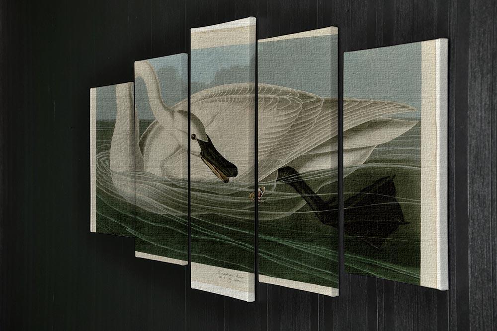 Trumpeter Swan by Audubon 5 Split Panel Canvas - Canvas Art Rocks - 2