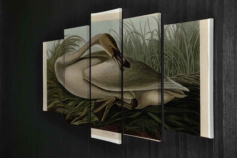 Trumpeter_Swan by Audubon 5 Split Panel Canvas - Canvas Art Rocks - 2