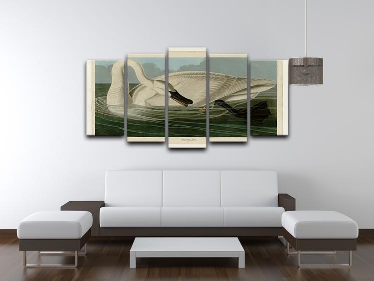 Trumpeter Swan by Audubon 5 Split Panel Canvas - Canvas Art Rocks - 3