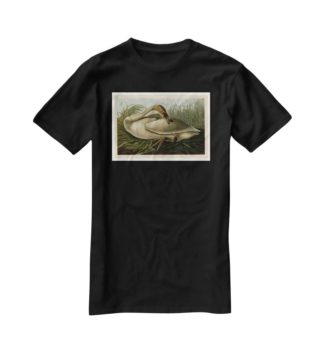 Trumpeter Swan by Audubon T-Shirt - Canvas Art Rocks - 1