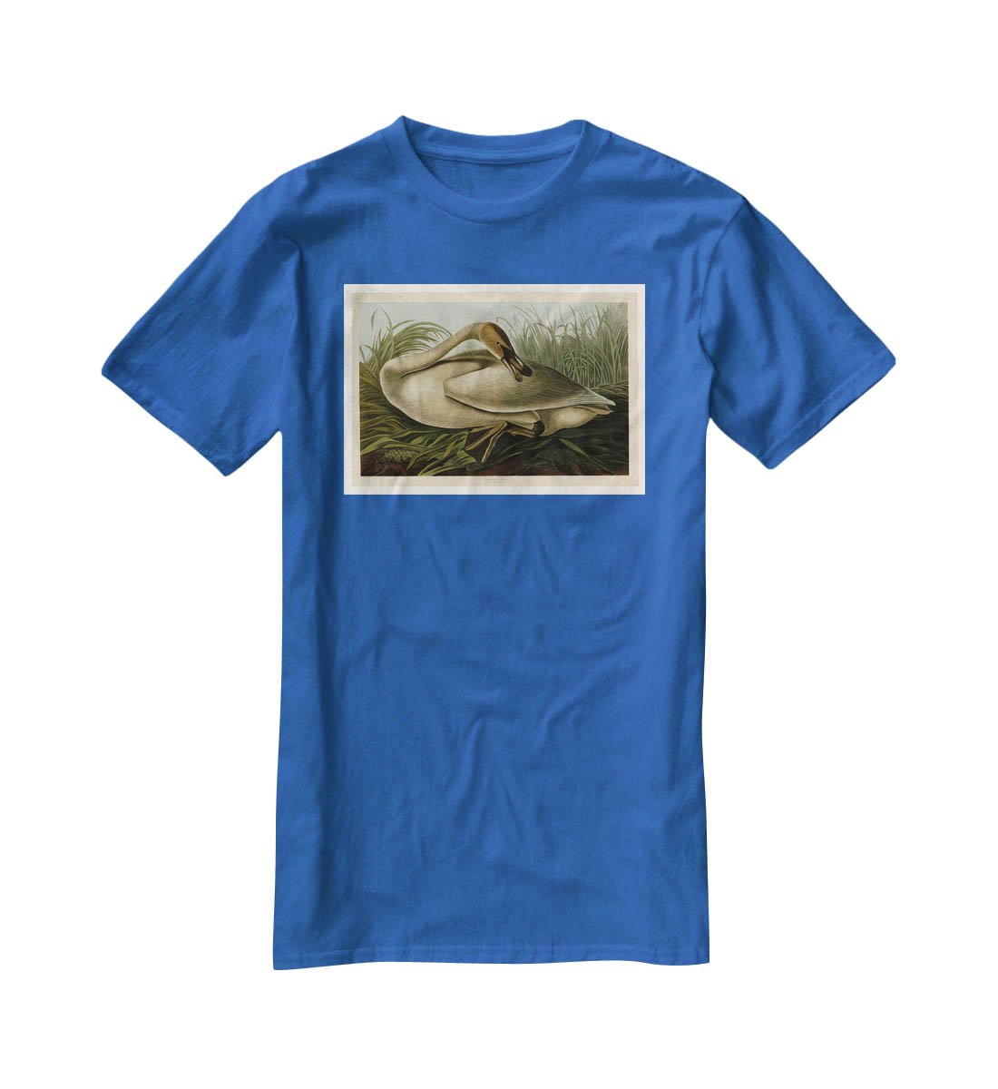 Trumpeter Swan by Audubon T-Shirt - Canvas Art Rocks - 2