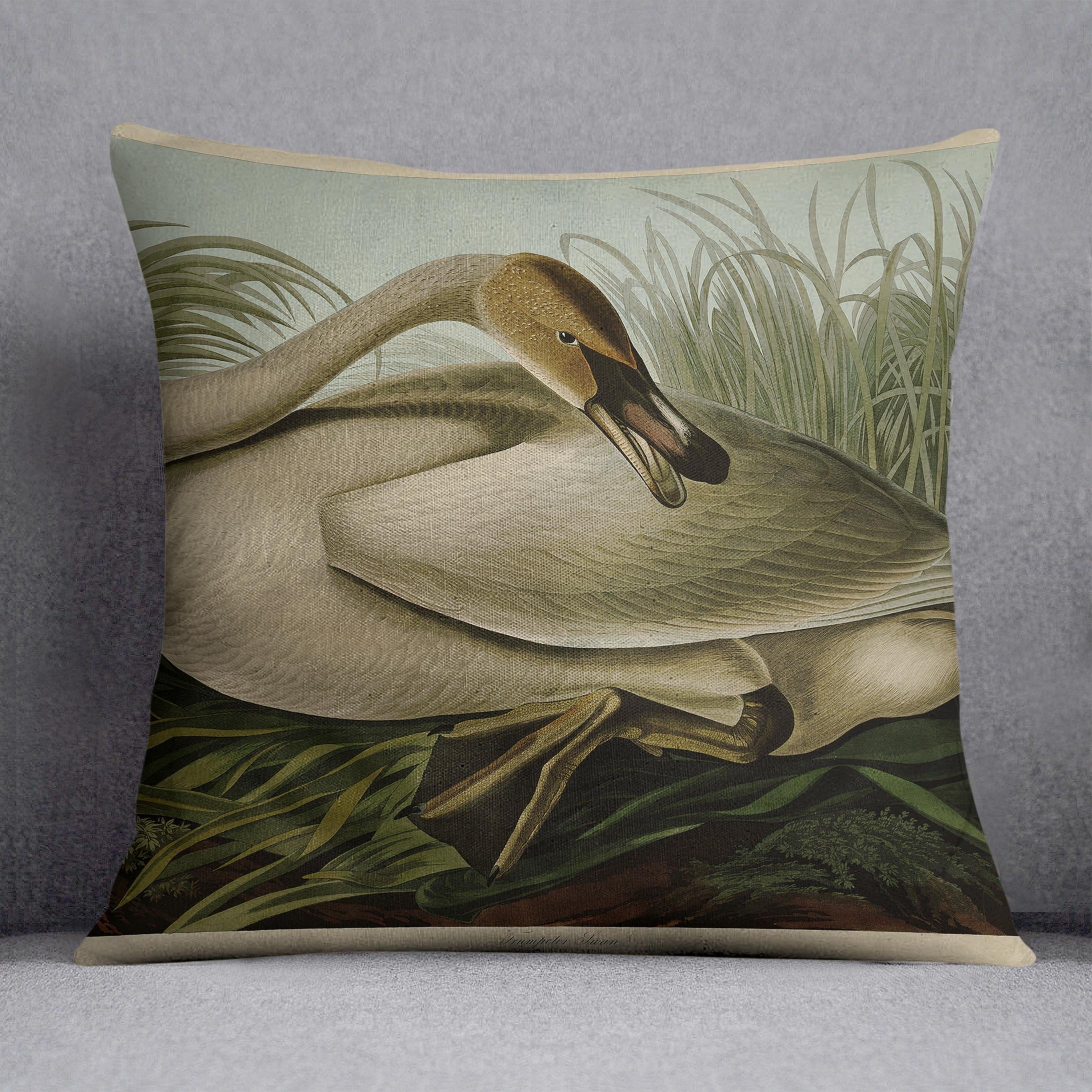 Trumpeter_Swan by Audubon Cushion
