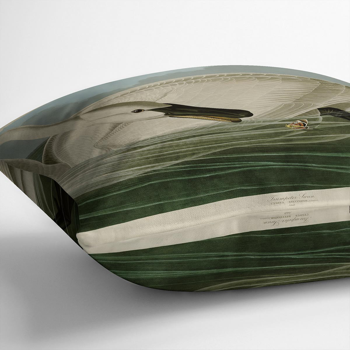 Trumpeter Swan by Audubon Cushion