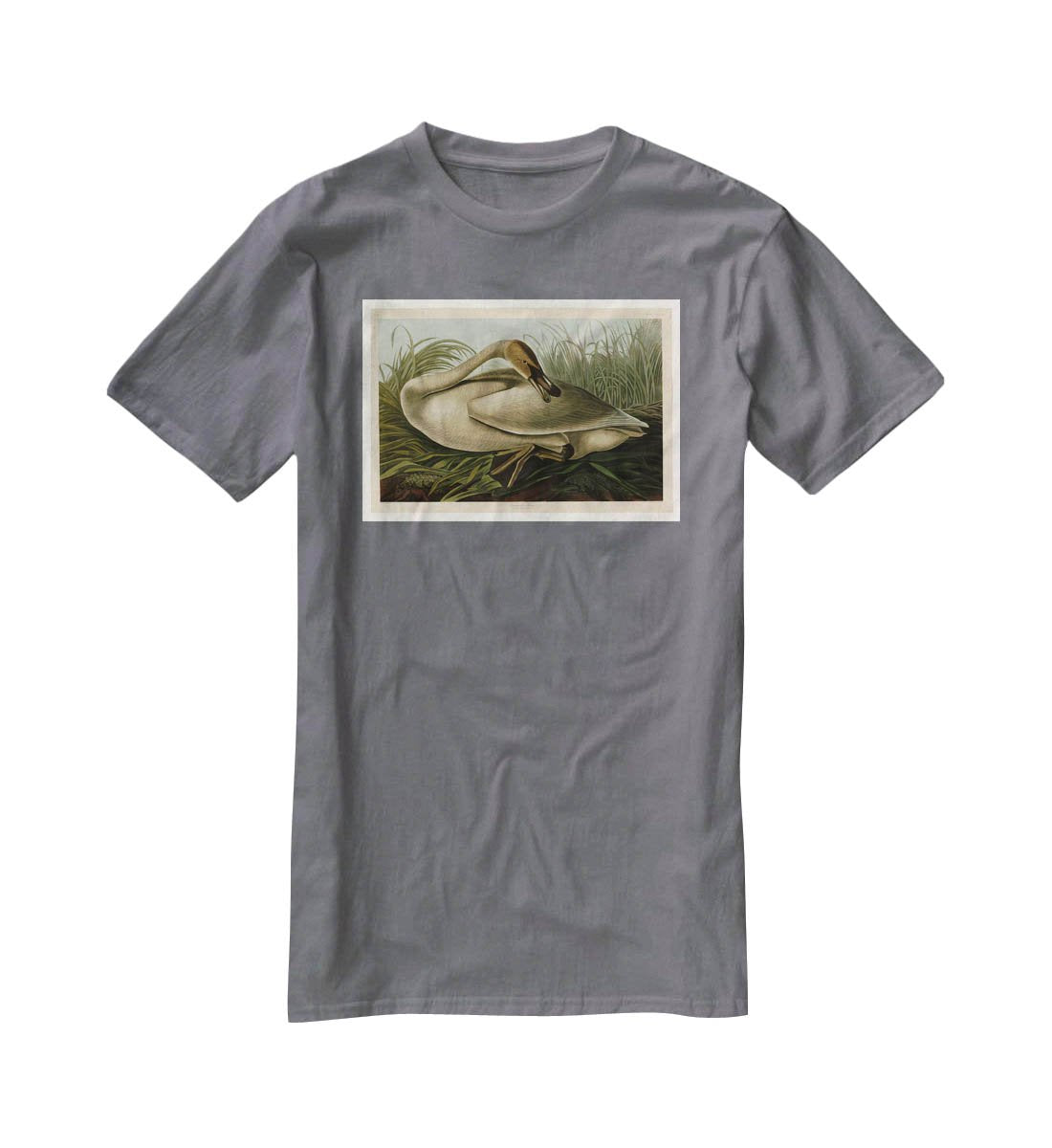 Trumpeter Swan by Audubon T-Shirt - Canvas Art Rocks - 3