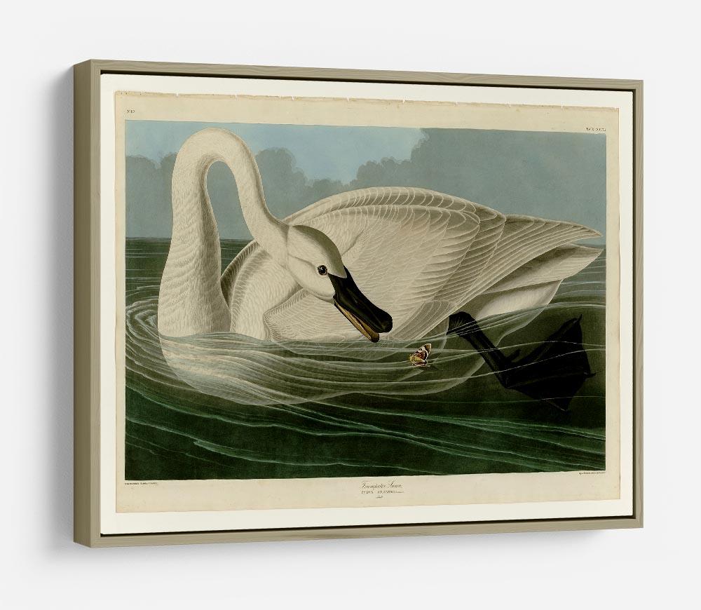 Trumpeter Swan by Audubon HD Metal Print - Canvas Art Rocks - 8