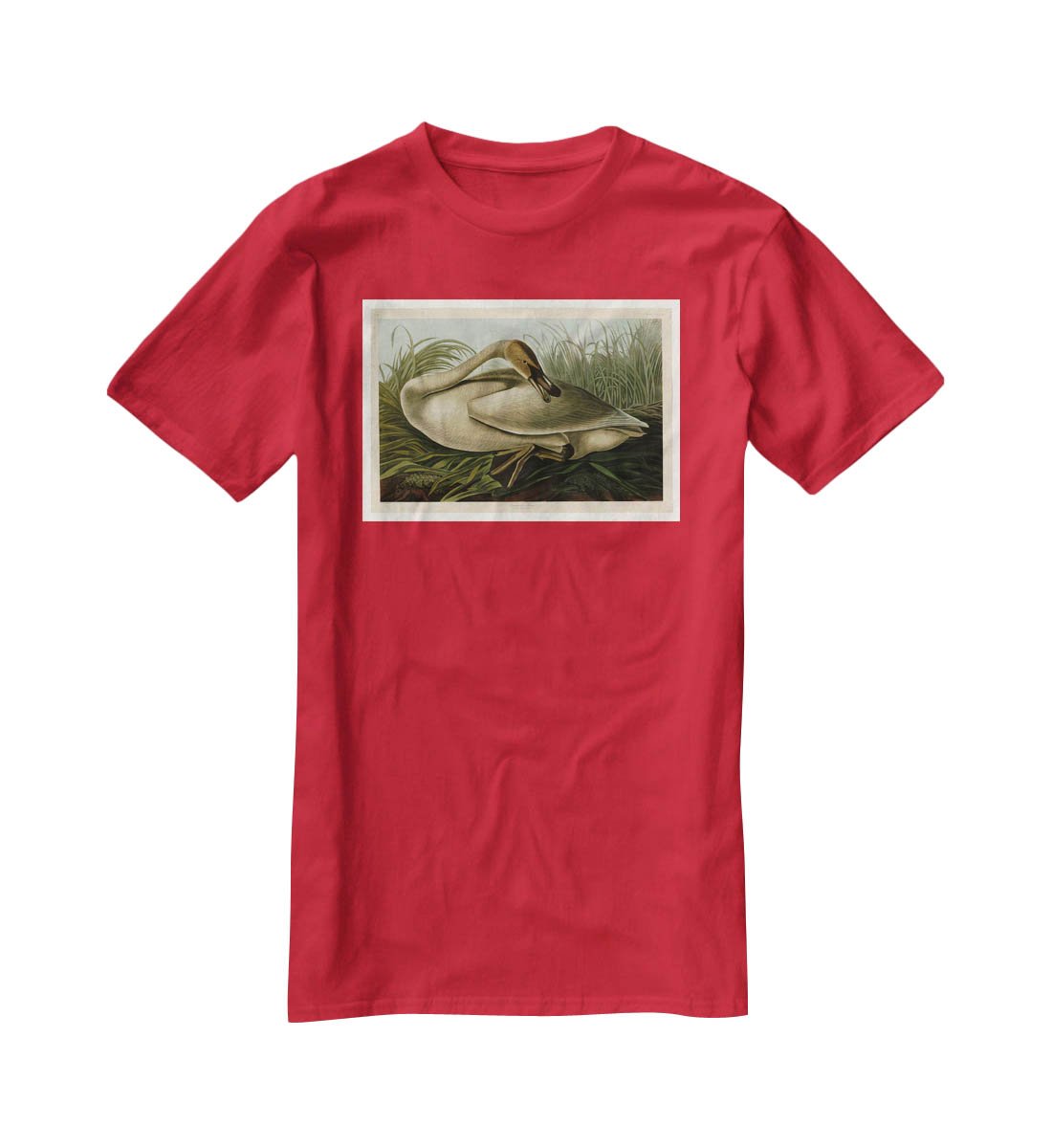 Trumpeter Swan by Audubon T-Shirt - Canvas Art Rocks - 4