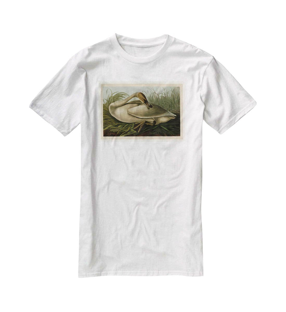 Trumpeter Swan by Audubon T-Shirt - Canvas Art Rocks - 5