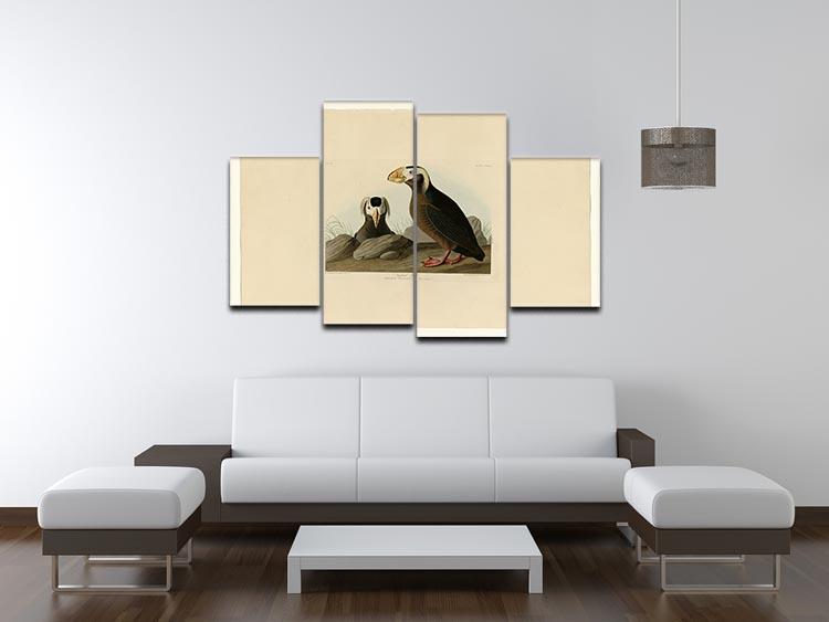 Tufted Auk by Audubon 4 Split Panel Canvas - Canvas Art Rocks - 3