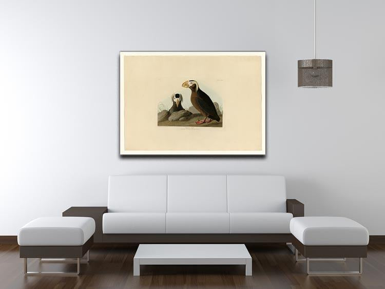 Tufted Auk by Audubon Canvas Print or Poster - Canvas Art Rocks - 4