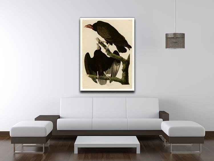 Turkey Buzzard by Audubon Canvas Print or Poster - Canvas Art Rocks - 4