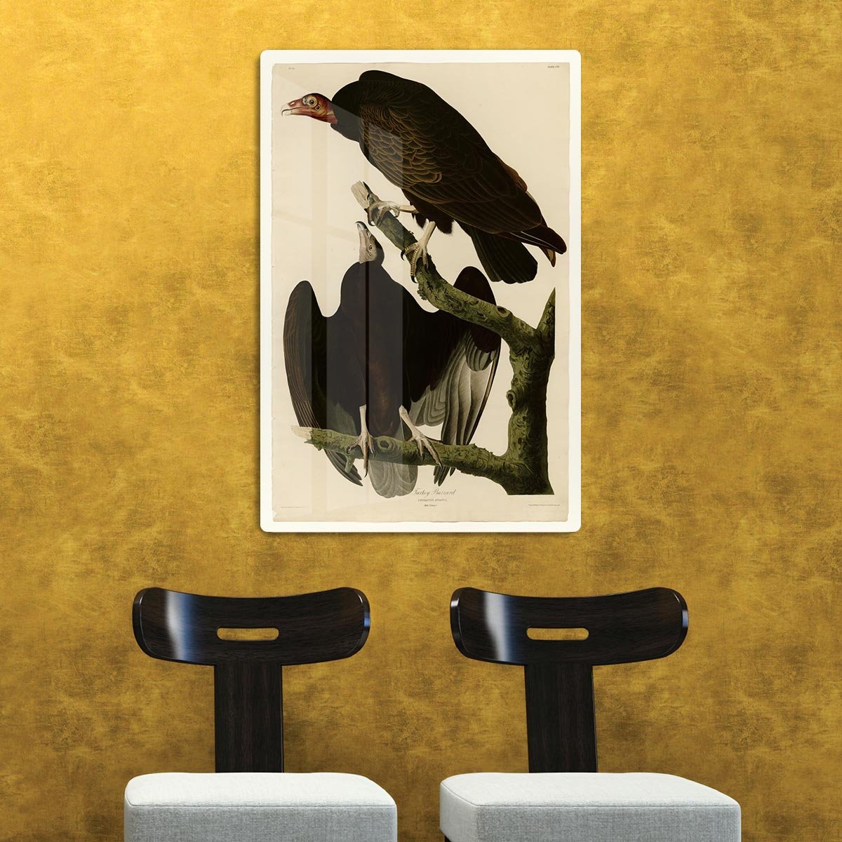 Turkey Buzzard by Audubon HD Metal Print - Canvas Art Rocks - 2