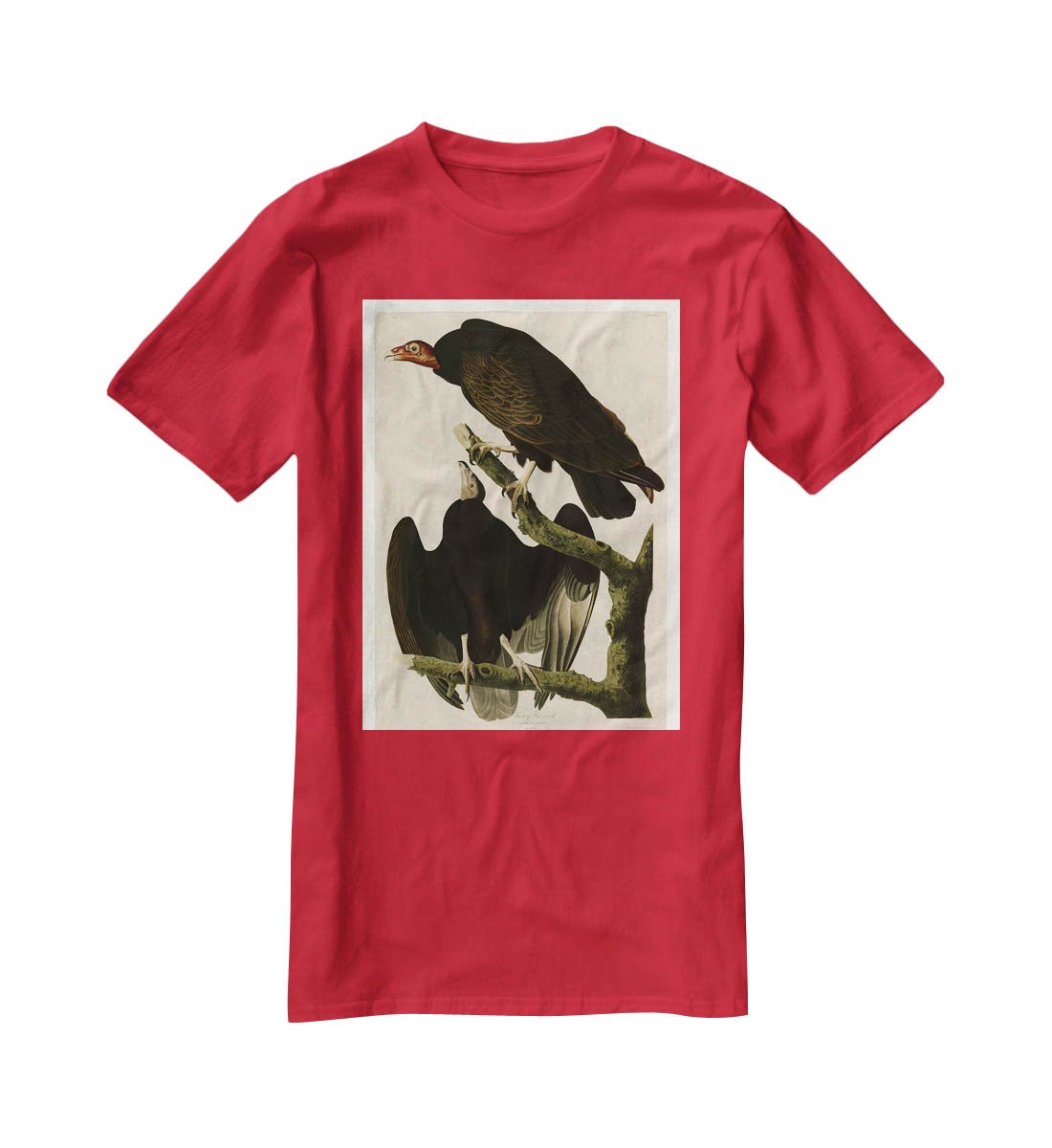 Turkey Buzzard by Audubon T-Shirt - Canvas Art Rocks - 4