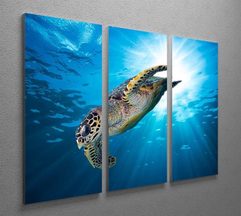 Turtle dive 3 Split Panel Canvas Print - Canvas Art Rocks - 2
