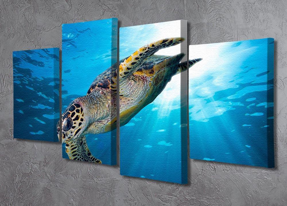 Turtle dive 4 Split Panel Canvas  - Canvas Art Rocks - 2