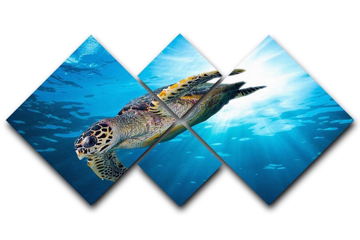 Turtle dive 4 Square Multi Panel Canvas  - Canvas Art Rocks - 1