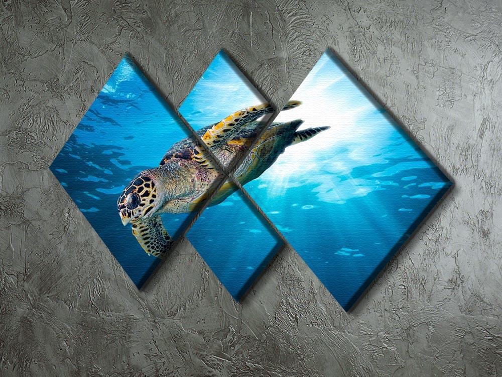 Turtle dive 4 Square Multi Panel Canvas  - Canvas Art Rocks - 2