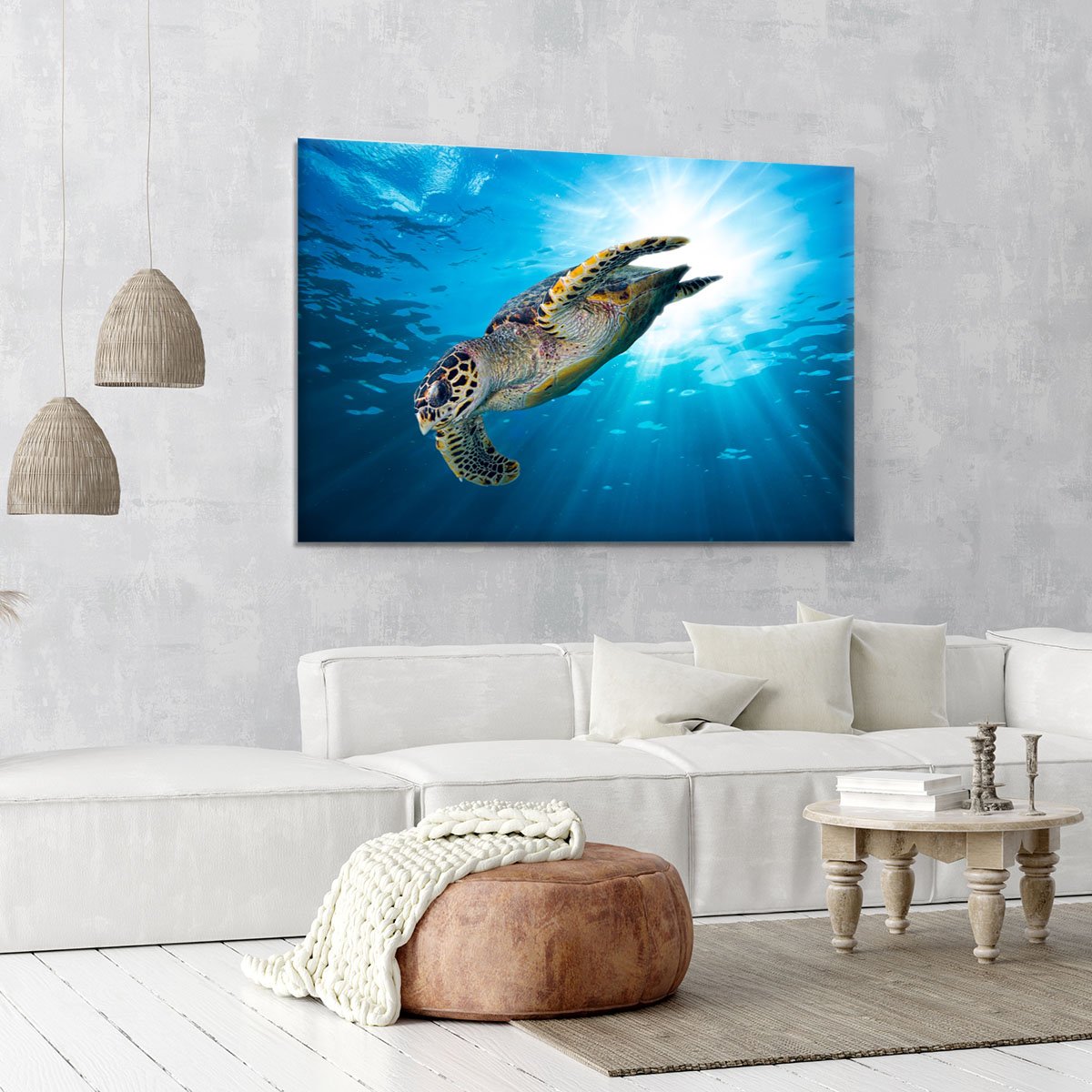Turtle dive Canvas Print or Poster