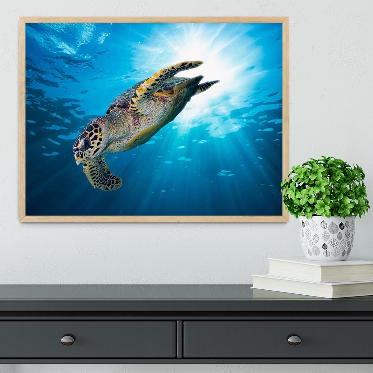 Turtle dive Framed Print - Canvas Art Rocks - 4