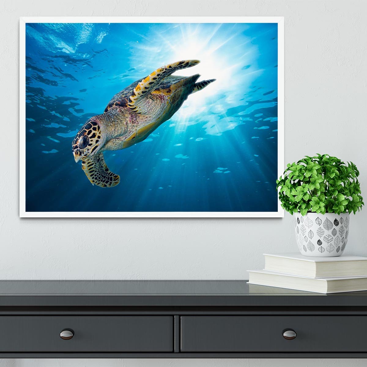 Turtle dive Framed Print - Canvas Art Rocks -6