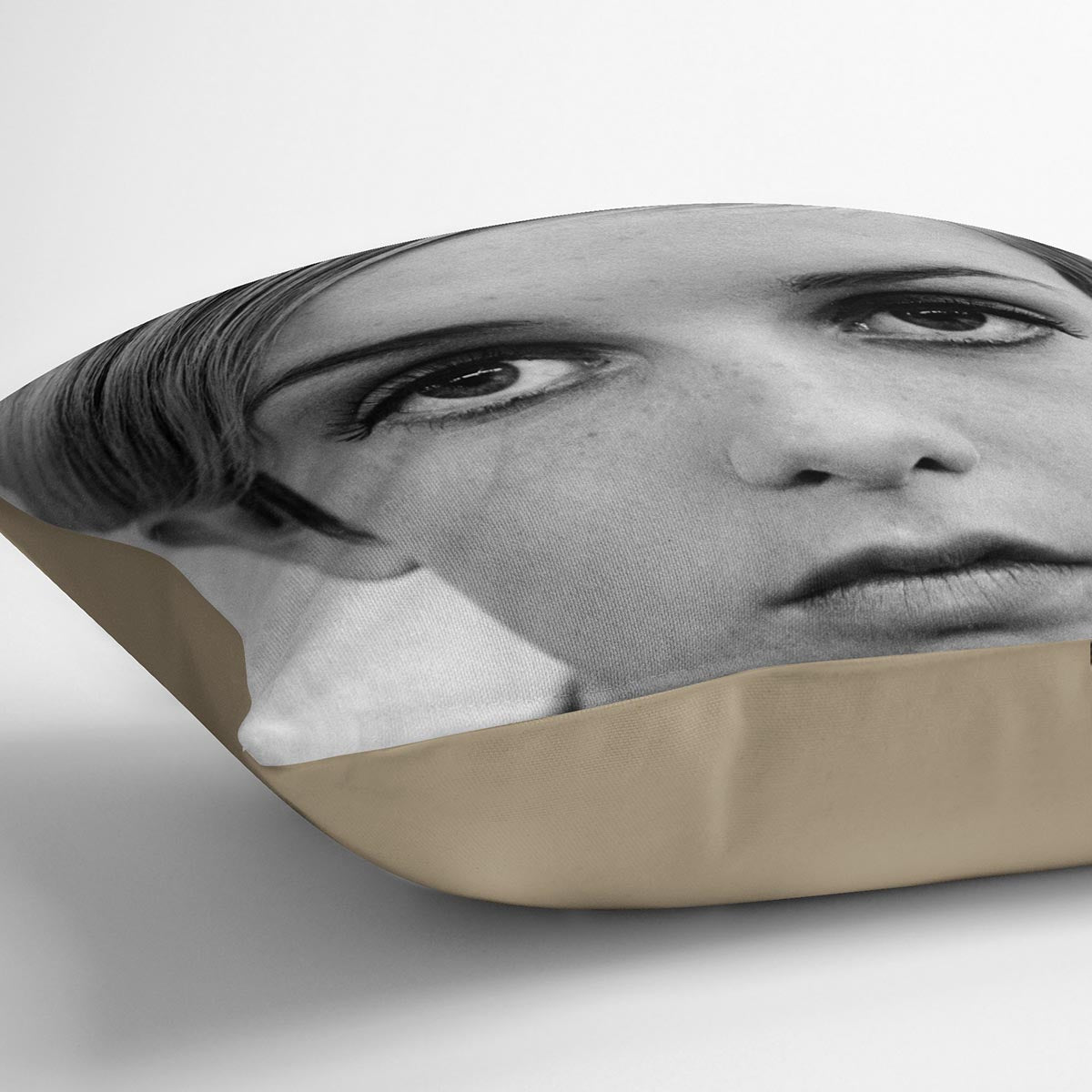 Twiggy Cushion - Canvas Art Rocks - 2