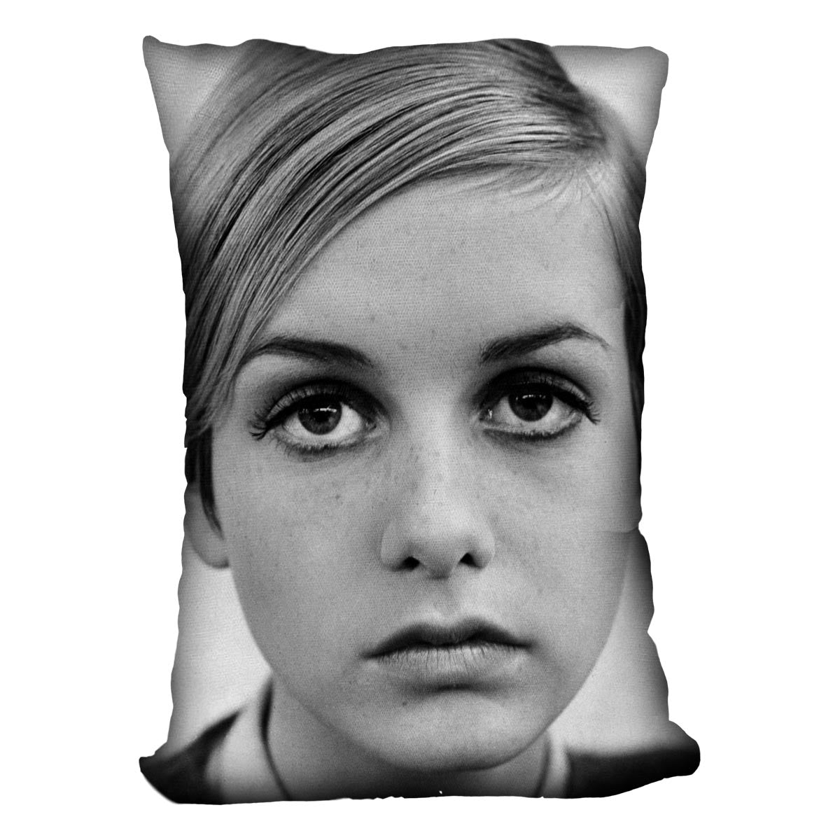 Twiggy Cushion - Canvas Art Rocks - 4