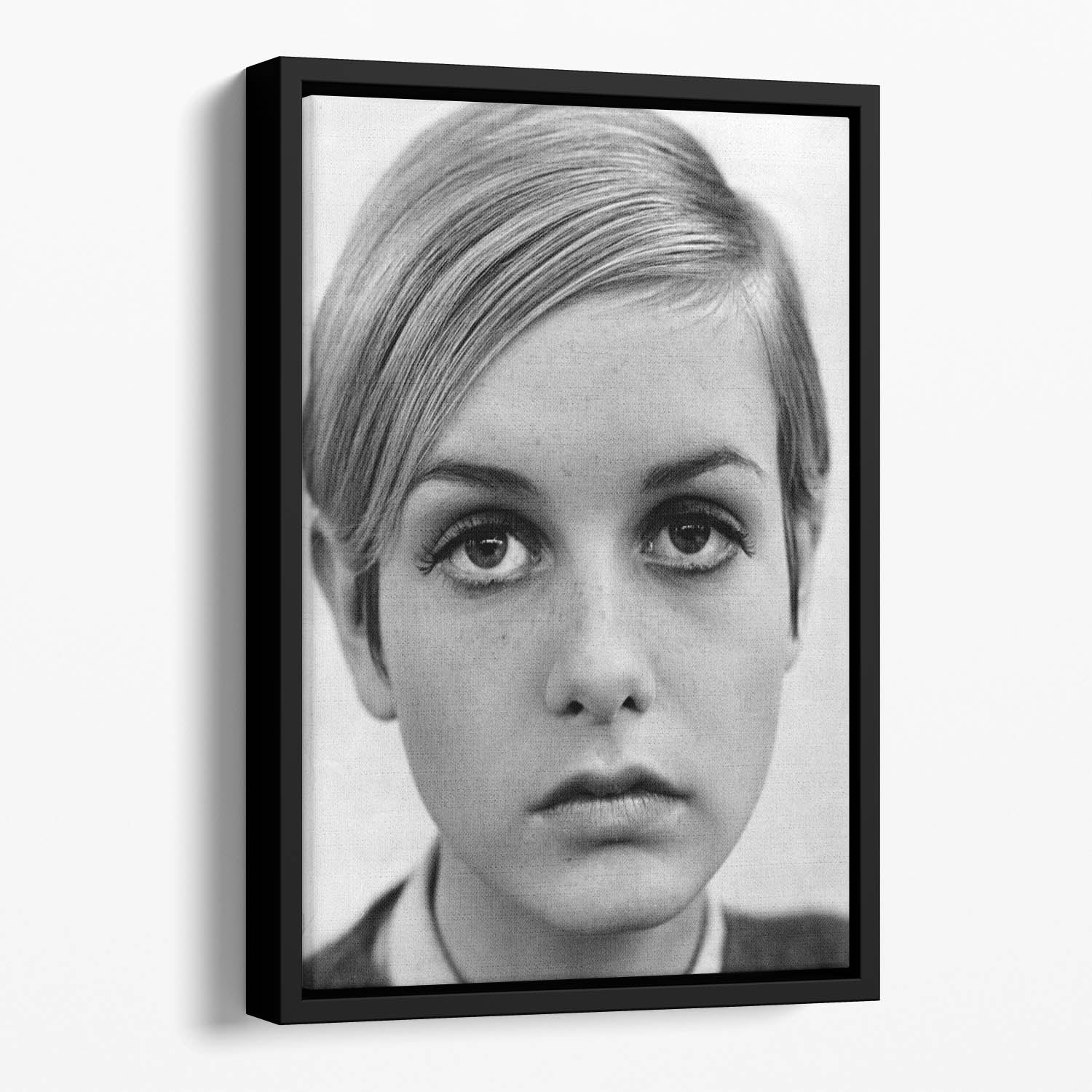 Twiggy Floating Framed Canvas