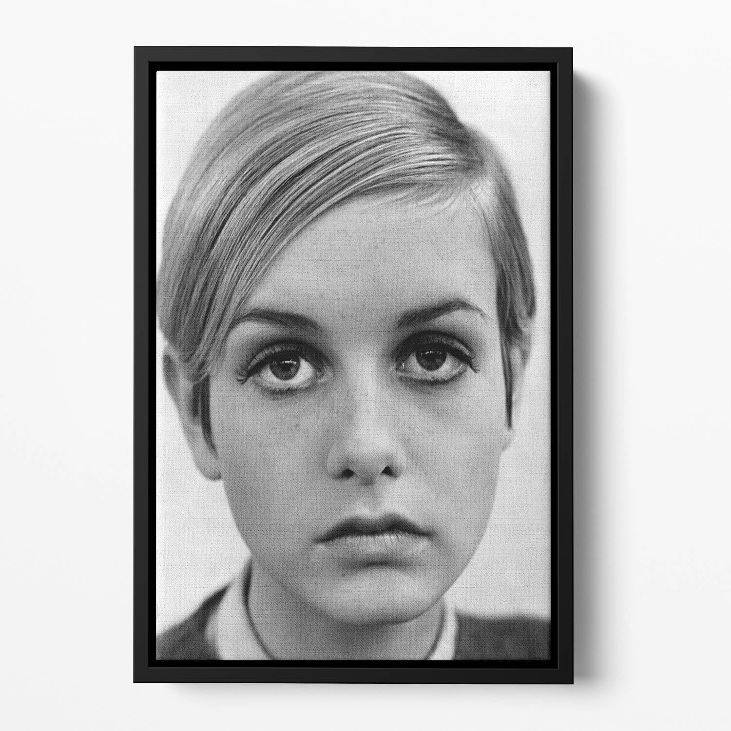 Twiggy Floating Framed Canvas