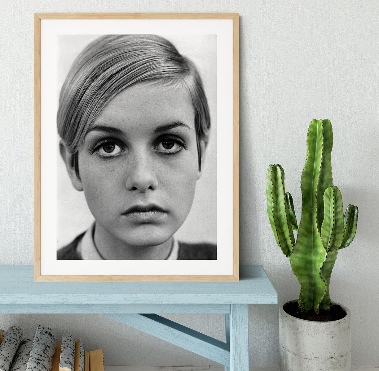 Twiggy Framed Print - Canvas Art Rocks - 3