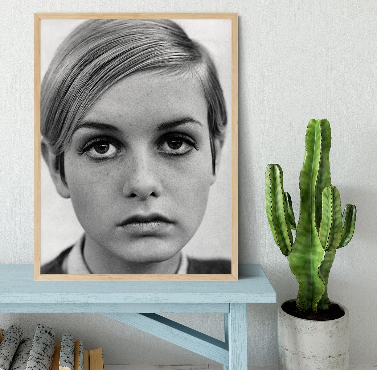 Twiggy Framed Print - Canvas Art Rocks - 4