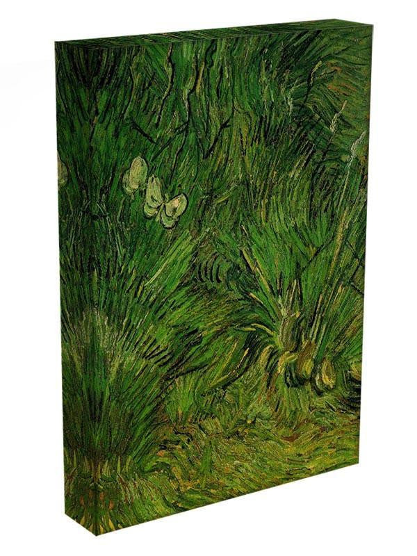 Two White Butterflies by Van Gogh Canvas Print & Poster - Canvas Art Rocks - 3