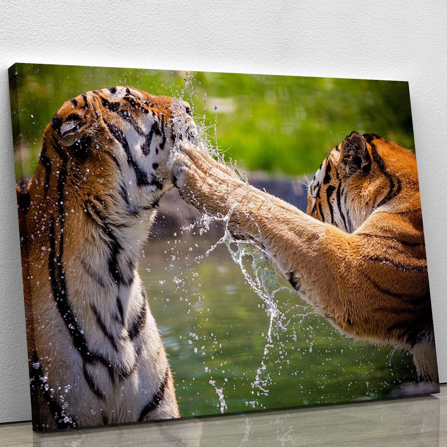 Two adult tigers at play in the water Canvas Print or Poster