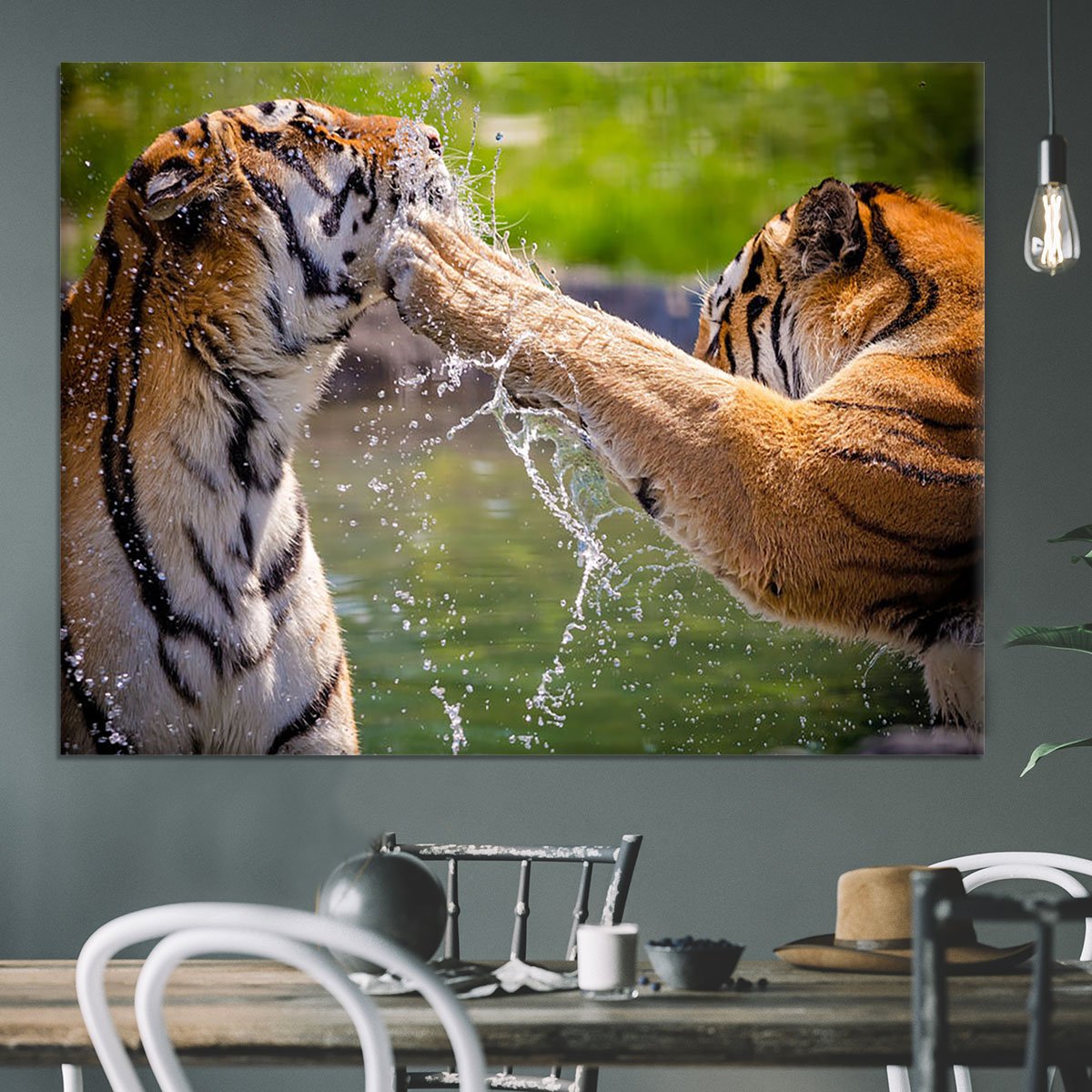 Two adult tigers at play in the water Canvas Print or Poster