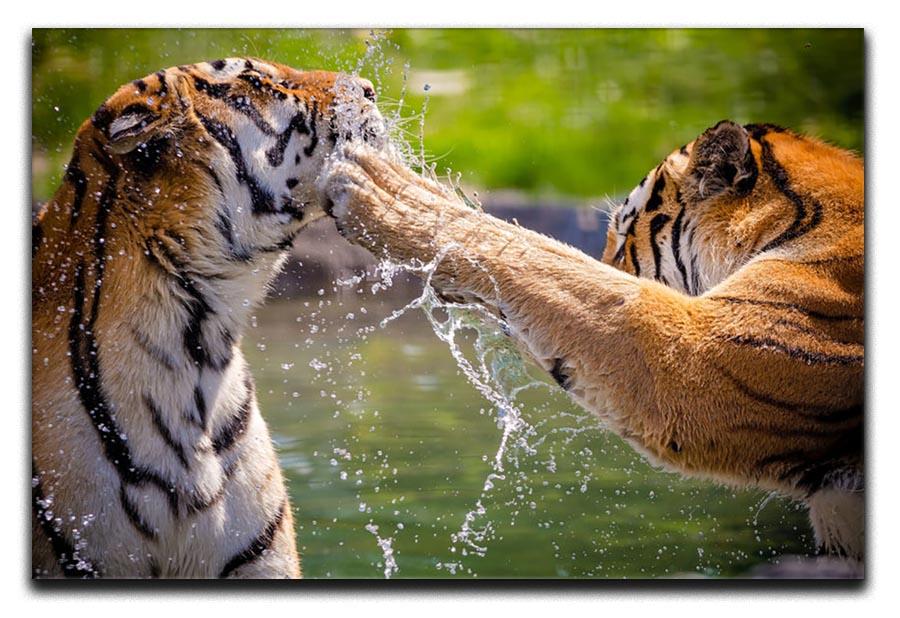 Two adult tigers at play in the water Canvas Print or Poster - Canvas Art Rocks - 1
