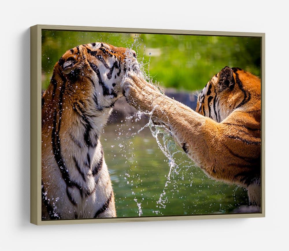 Two adult tigers at play in the water HD Metal Print - Canvas Art Rocks - 8