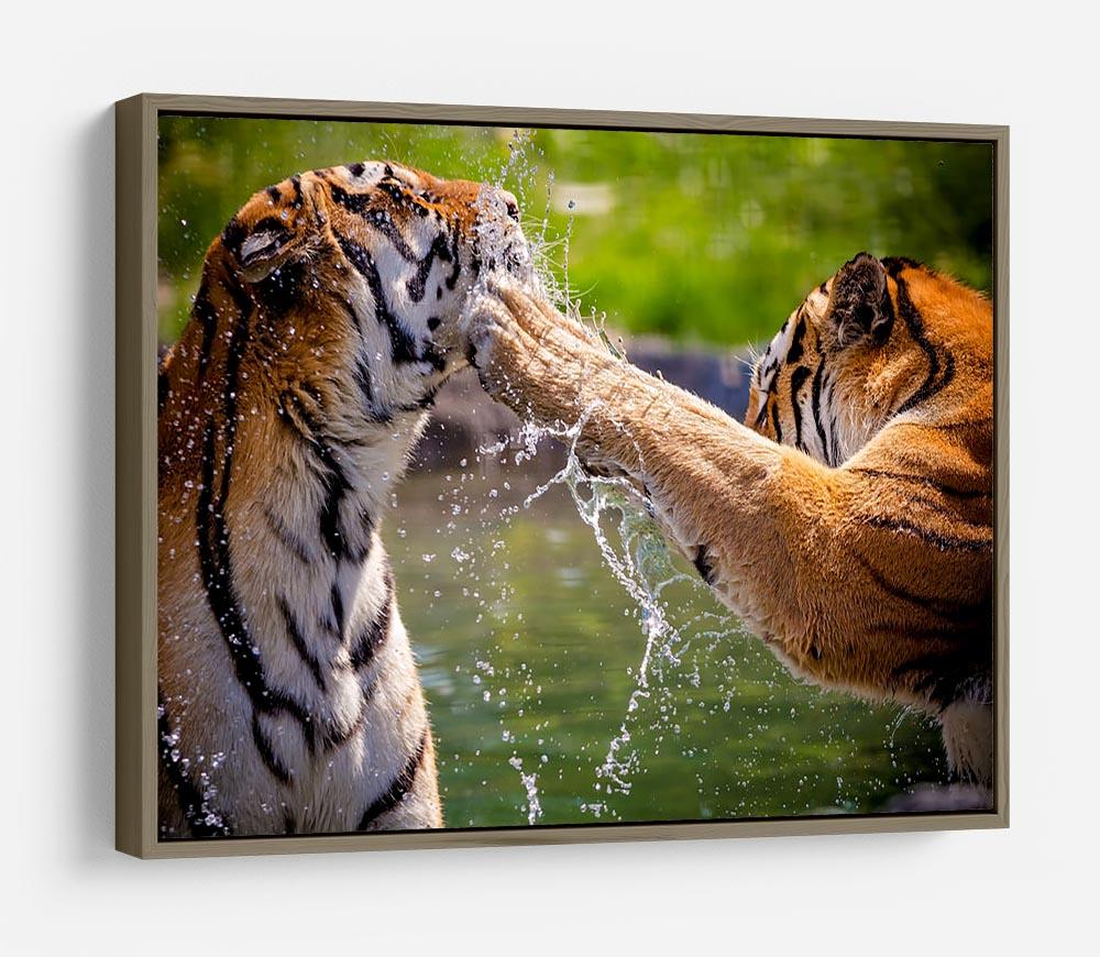Two adult tigers at play in the water HD Metal Print - Canvas Art Rocks - 10