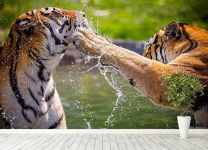 Two adult tigers at play in the water Wall Mural Wallpaper - Canvas Art Rocks - 4