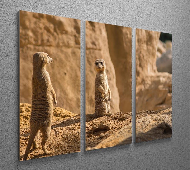 Two alert Meerkats in the desert 3 Split Panel Canvas Print - Canvas Art Rocks - 2
