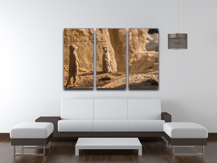 Two alert Meerkats in the desert 3 Split Panel Canvas Print - Canvas Art Rocks - 3