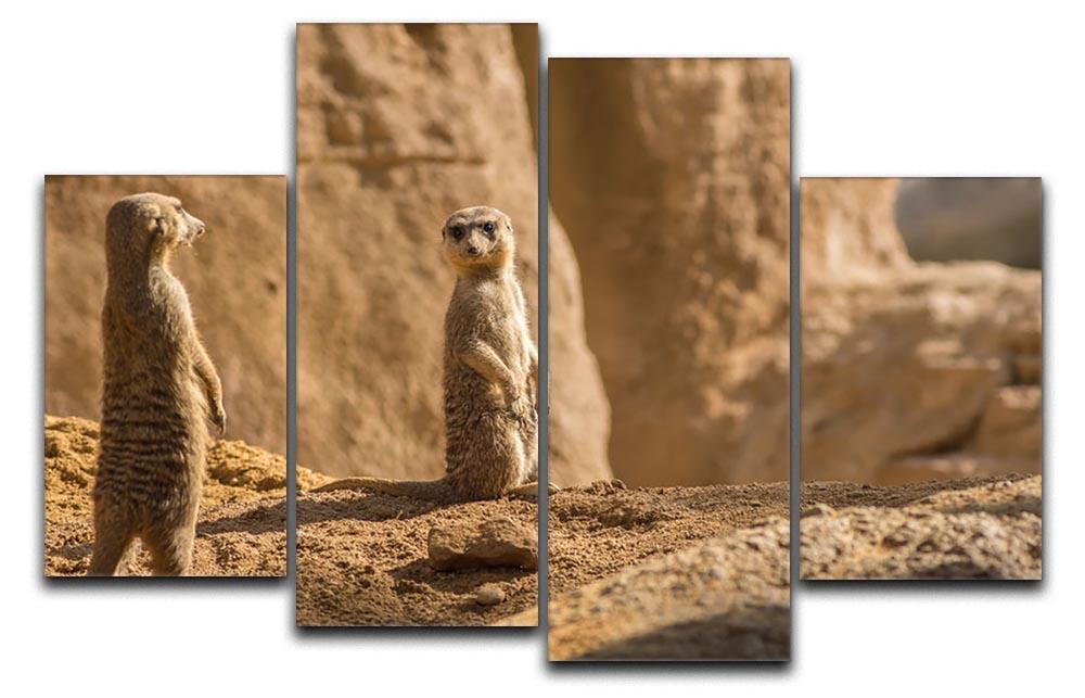 Two alert Meerkats in the desert 4 Split Panel Canvas - Canvas Art Rocks - 1