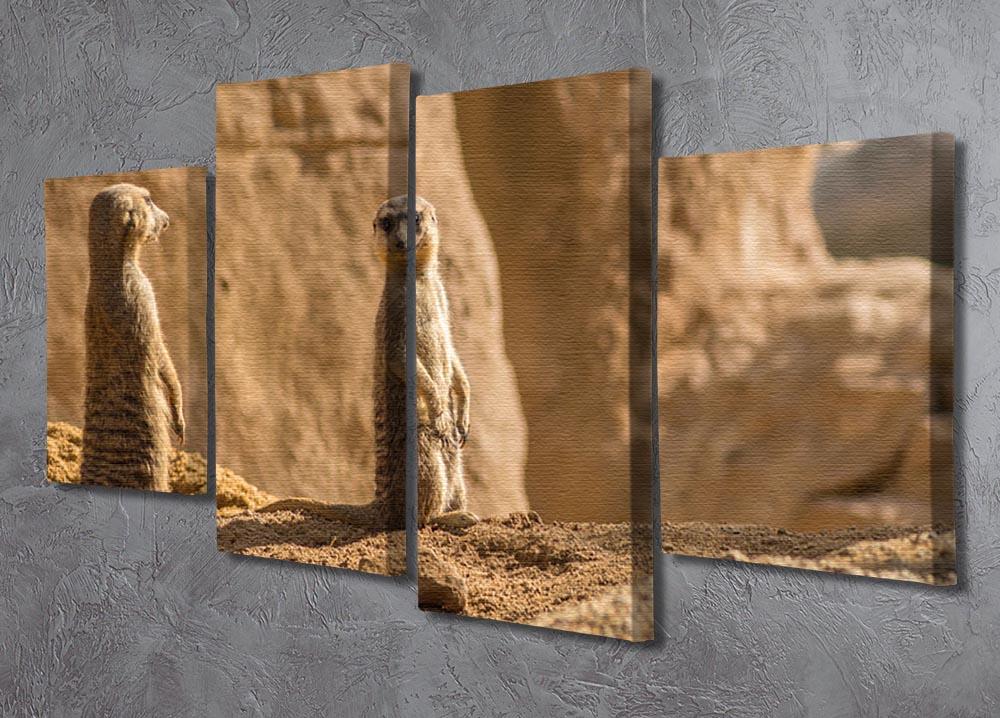 Two alert Meerkats in the desert 4 Split Panel Canvas - Canvas Art Rocks - 2
