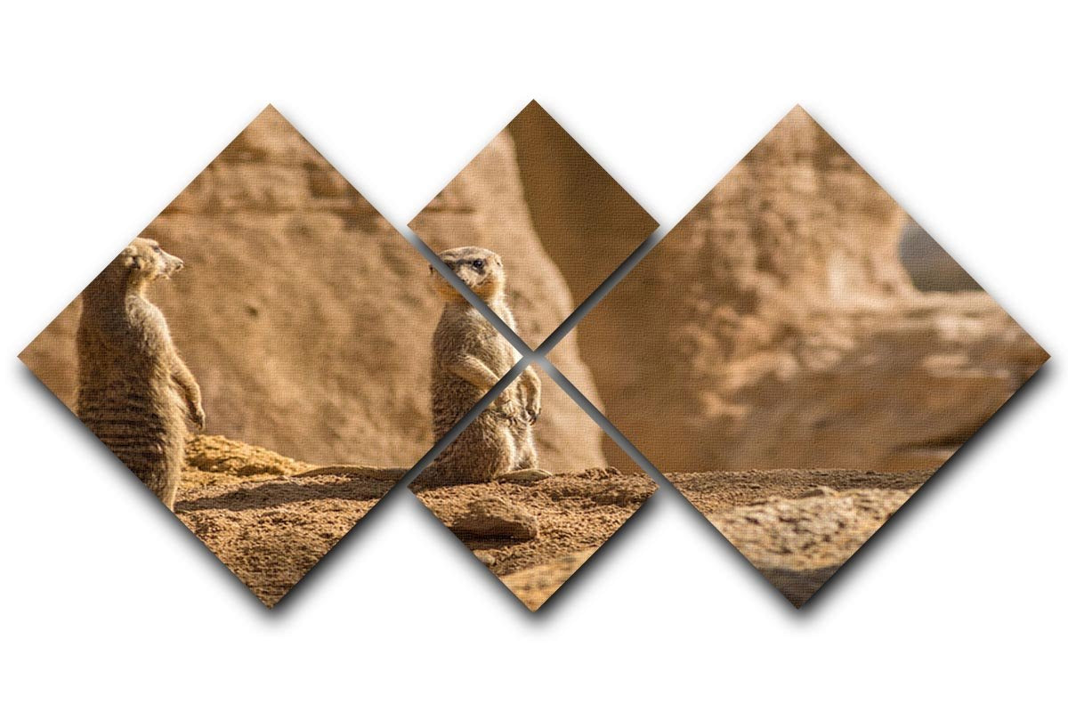 Two alert Meerkats in the desert 4 Square Multi Panel Canvas - Canvas Art Rocks - 1