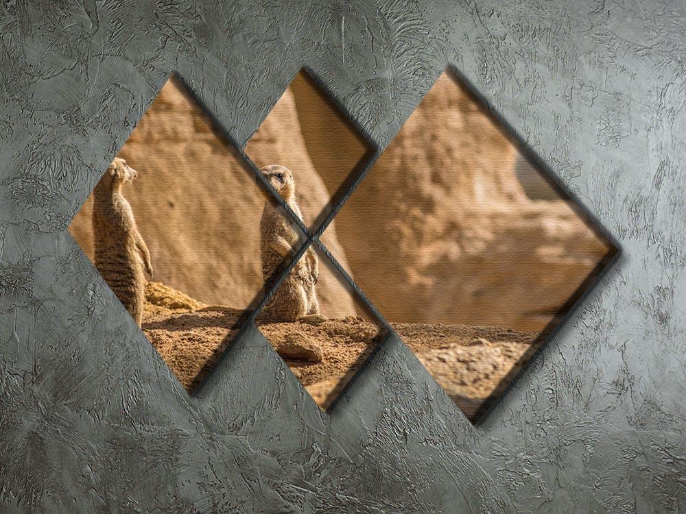 Two alert Meerkats in the desert 4 Square Multi Panel Canvas - Canvas Art Rocks - 2