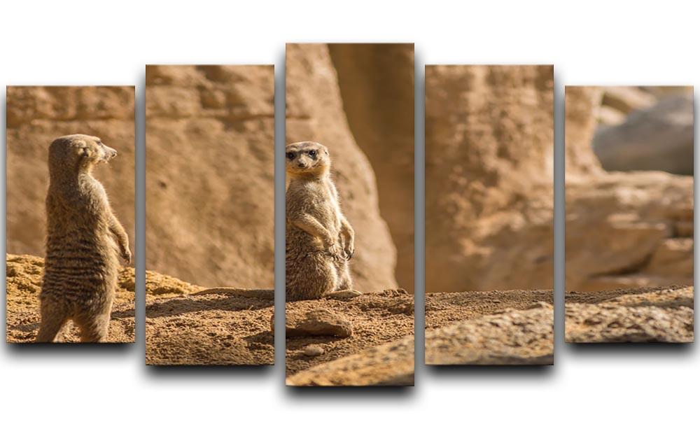 Two alert Meerkats in the desert 5 Split Panel Canvas - Canvas Art Rocks - 1